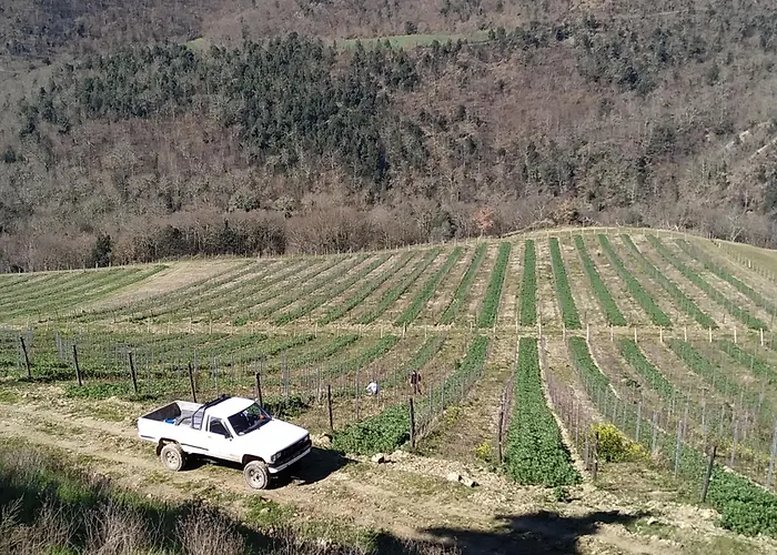 Borgo Macereto