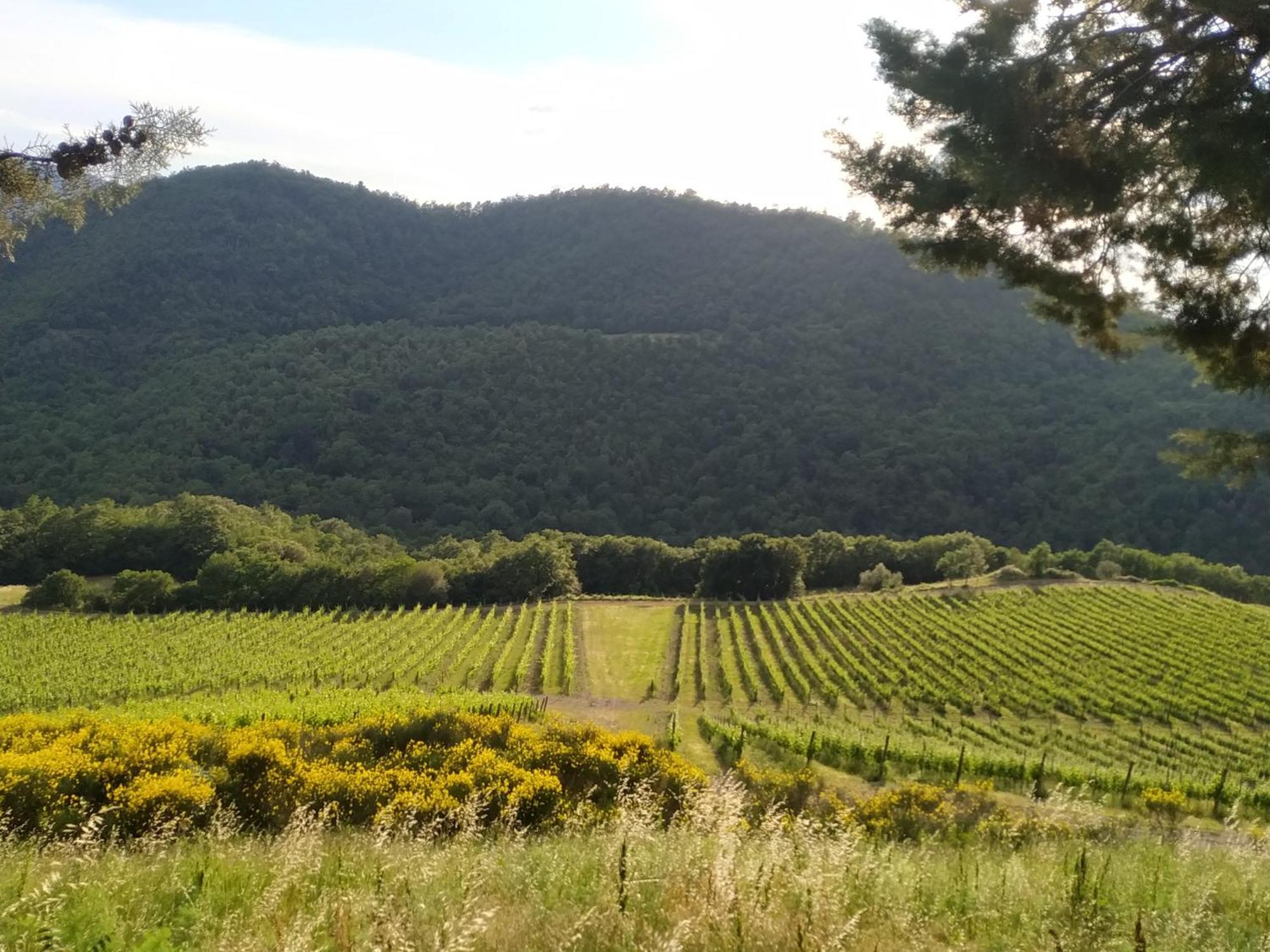 Farm stay Borgo Macereto *