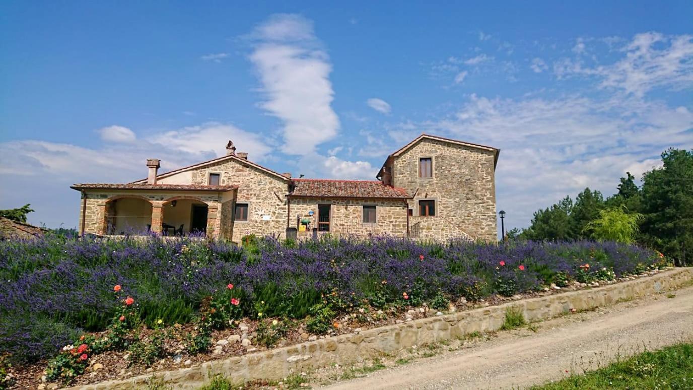 Farm stay Borgo Macereto