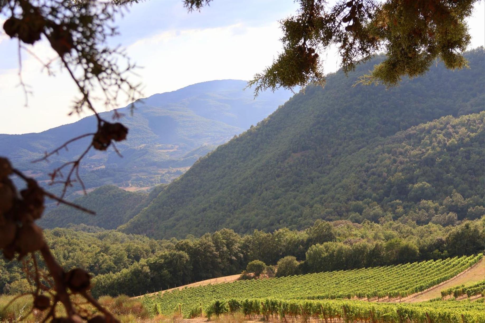 Farm stay Borgo Macereto Dicomano