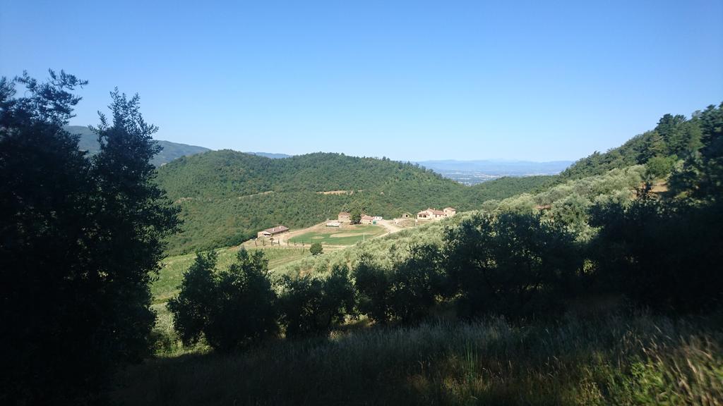 Farm stay Borgo Macereto Dicomano