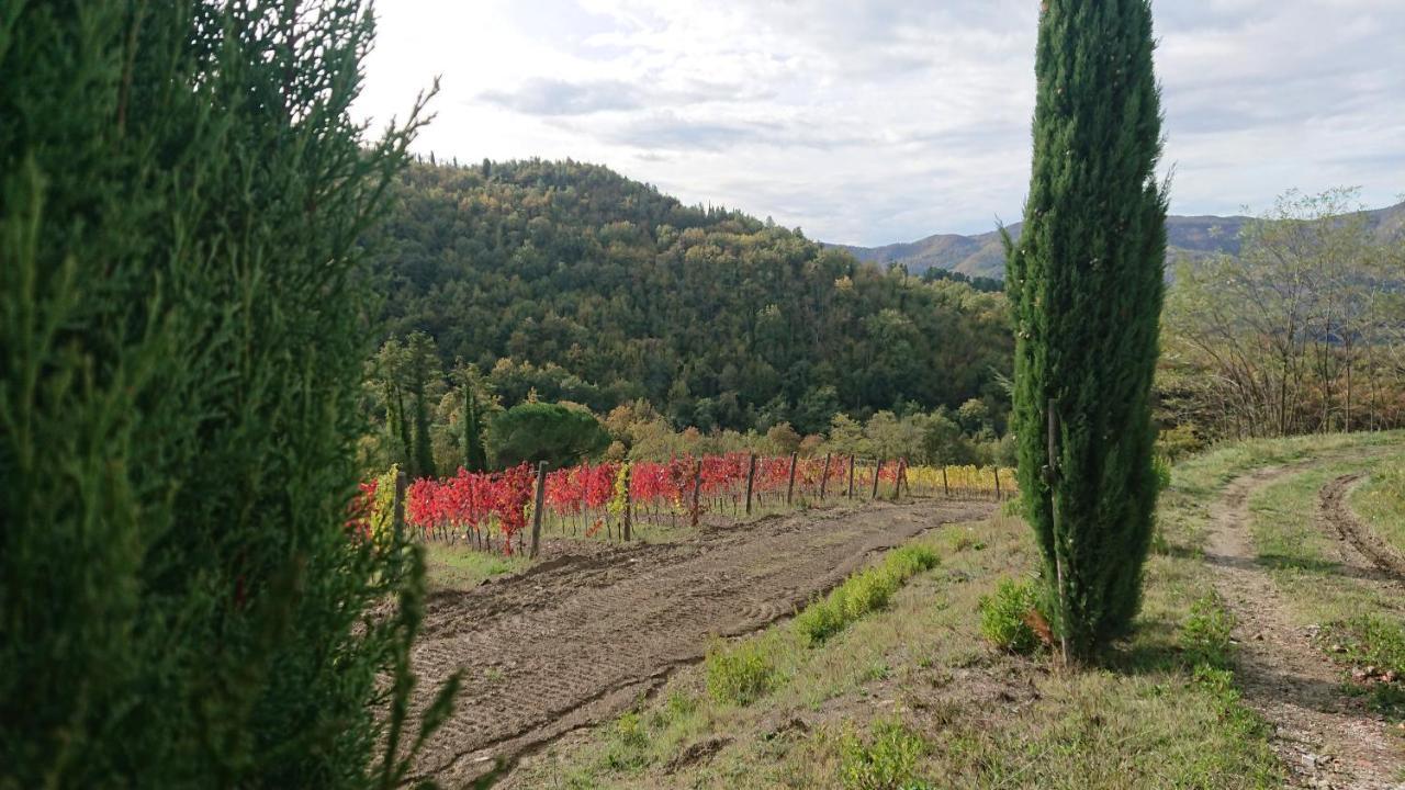 Farm stay Borgo Macereto